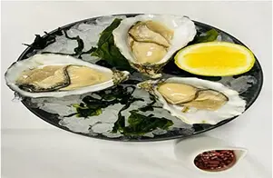 Dibba Bay Oysters No.3