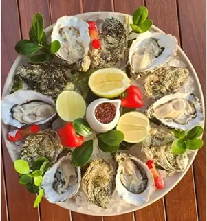 Regal Royal Gold Oyster No.3